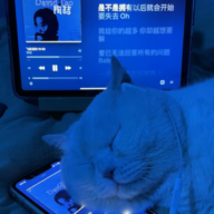 DavidTao