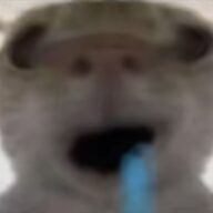 LGGKD